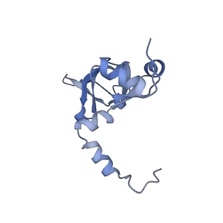 24269_7nac_Y_v1-3
State E2 nucleolar 60S ribosomal biogenesis intermediate - Composite model