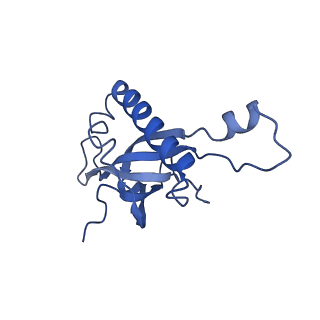 24269_7nac_Z_v1-3
State E2 nucleolar 60S ribosomal biogenesis intermediate - Composite model