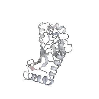 24269_7nac_a_v1-3
State E2 nucleolar 60S ribosomal biogenesis intermediate - Composite model