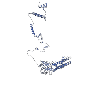 24269_7nac_b_v1-3
State E2 nucleolar 60S ribosomal biogenesis intermediate - Composite model
