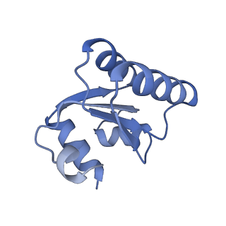 24269_7nac_c_v1-3
State E2 nucleolar 60S ribosomal biogenesis intermediate - Composite model