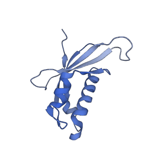 24269_7nac_d_v1-3
State E2 nucleolar 60S ribosomal biogenesis intermediate - Composite model