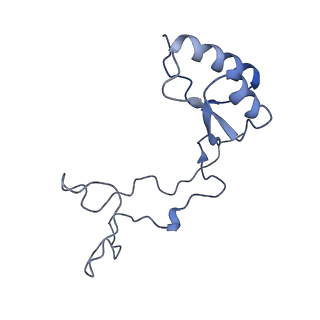 24269_7nac_e_v1-3
State E2 nucleolar 60S ribosomal biogenesis intermediate - Composite model