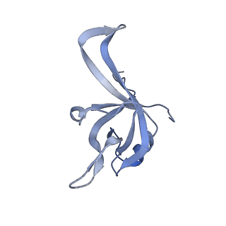 24269_7nac_f_v1-3
State E2 nucleolar 60S ribosomal biogenesis intermediate - Composite model