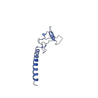 24269_7nac_g_v1-3
State E2 nucleolar 60S ribosomal biogenesis intermediate - Composite model