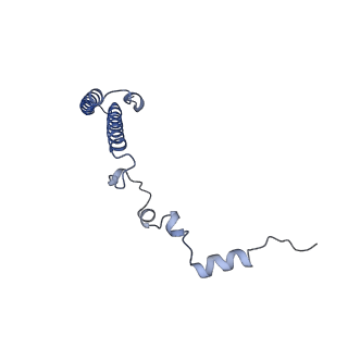 24269_7nac_h_v1-3
State E2 nucleolar 60S ribosomal biogenesis intermediate - Composite model