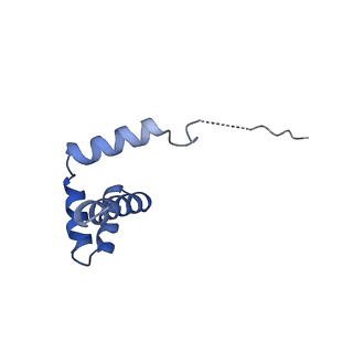 24269_7nac_i_v1-3
State E2 nucleolar 60S ribosomal biogenesis intermediate - Composite model