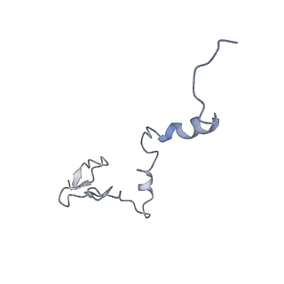 24269_7nac_j_v1-3
State E2 nucleolar 60S ribosomal biogenesis intermediate - Composite model