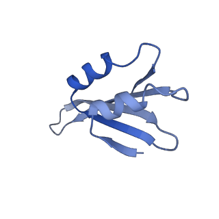 24269_7nac_k_v1-3
State E2 nucleolar 60S ribosomal biogenesis intermediate - Composite model
