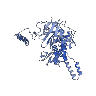 24269_7nac_n_v1-3
State E2 nucleolar 60S ribosomal biogenesis intermediate - Composite model