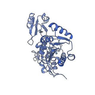 24269_7nac_q_v1-3
State E2 nucleolar 60S ribosomal biogenesis intermediate - Composite model