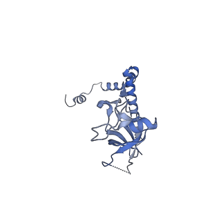 24269_7nac_r_v1-3
State E2 nucleolar 60S ribosomal biogenesis intermediate - Composite model