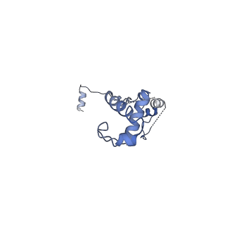 24269_7nac_v_v1-3
State E2 nucleolar 60S ribosomal biogenesis intermediate - Composite model