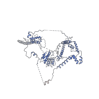 24269_7nac_w_v1-3
State E2 nucleolar 60S ribosomal biogenesis intermediate - Composite model