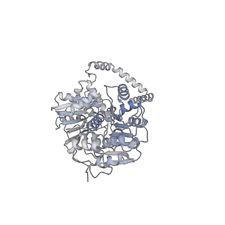 24269_7nac_x_v1-3
State E2 nucleolar 60S ribosomal biogenesis intermediate - Composite model