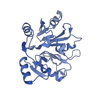 24269_7nac_y_v1-3
State E2 nucleolar 60S ribosomal biogenesis intermediate - Composite model
