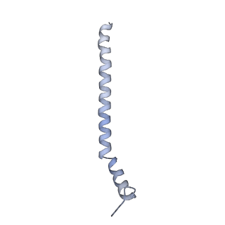 24269_7nac_z_v1-3
State E2 nucleolar 60S ribosomal biogenesis intermediate - Composite model