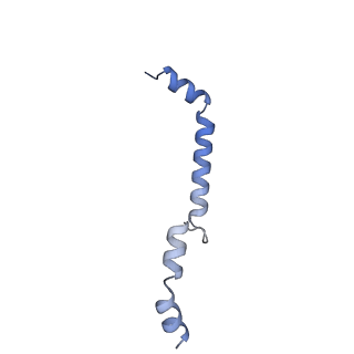 24270_7nad_8_v1-3
State E2 nucleolar 60S ribosomal biogenesis intermediate - Spb4 local refinement model