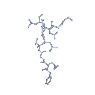 24270_7nad_B_v1-3
State E2 nucleolar 60S ribosomal biogenesis intermediate - Spb4 local refinement model