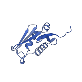 24270_7nad_U_v1-3
State E2 nucleolar 60S ribosomal biogenesis intermediate - Spb4 local refinement model