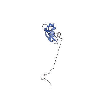 24270_7nad_X_v1-3
State E2 nucleolar 60S ribosomal biogenesis intermediate - Spb4 local refinement model