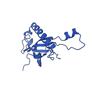 24270_7nad_Z_v1-3
State E2 nucleolar 60S ribosomal biogenesis intermediate - Spb4 local refinement model