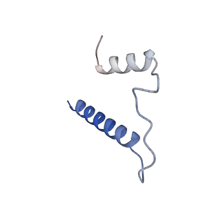 24270_7nad_b_v1-3
State E2 nucleolar 60S ribosomal biogenesis intermediate - Spb4 local refinement model