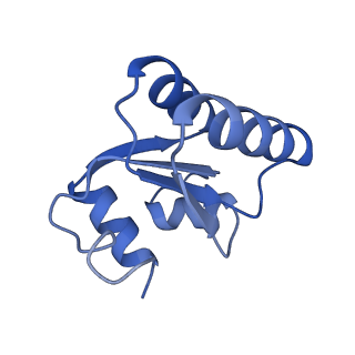 24270_7nad_c_v1-3
State E2 nucleolar 60S ribosomal biogenesis intermediate - Spb4 local refinement model