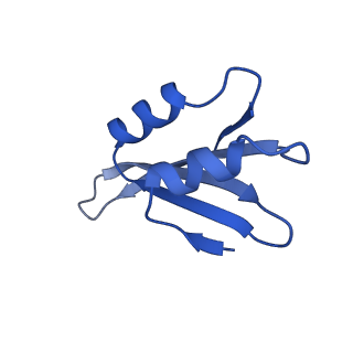 24270_7nad_k_v1-3
State E2 nucleolar 60S ribosomal biogenesis intermediate - Spb4 local refinement model