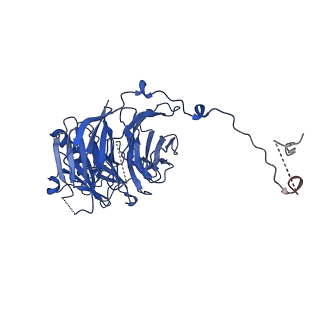 24270_7nad_m_v1-3
State E2 nucleolar 60S ribosomal biogenesis intermediate - Spb4 local refinement model