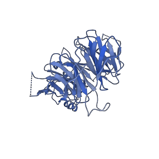 24270_7nad_p_v1-3
State E2 nucleolar 60S ribosomal biogenesis intermediate - Spb4 local refinement model