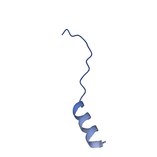 24270_7nad_t_v1-3
State E2 nucleolar 60S ribosomal biogenesis intermediate - Spb4 local refinement model