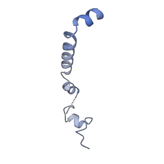 24270_7nad_u_v1-3
State E2 nucleolar 60S ribosomal biogenesis intermediate - Spb4 local refinement model