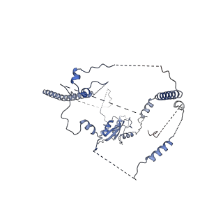 24270_7nad_w_v1-3
State E2 nucleolar 60S ribosomal biogenesis intermediate - Spb4 local refinement model