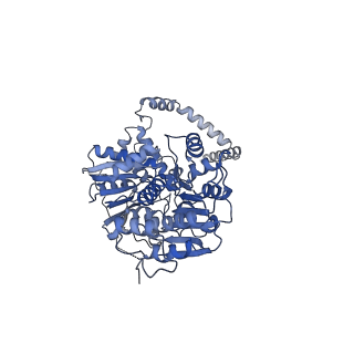24270_7nad_x_v1-3
State E2 nucleolar 60S ribosomal biogenesis intermediate - Spb4 local refinement model