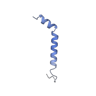 24271_7naf_8_v1-3
State E2 nucleolar 60S ribosomal biogenesis intermediate - Spb1-MTD local model