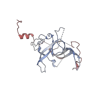 24271_7naf_B_v1-3
State E2 nucleolar 60S ribosomal biogenesis intermediate - Spb1-MTD local model