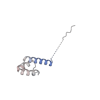 24271_7naf_R_v1-3
State E2 nucleolar 60S ribosomal biogenesis intermediate - Spb1-MTD local model