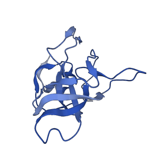 24271_7naf_V_v1-3
State E2 nucleolar 60S ribosomal biogenesis intermediate - Spb1-MTD local model