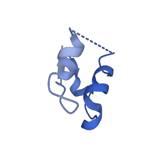 24271_7naf_d_v1-3
State E2 nucleolar 60S ribosomal biogenesis intermediate - Spb1-MTD local model
