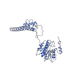 24271_7naf_w_v1-3
State E2 nucleolar 60S ribosomal biogenesis intermediate - Spb1-MTD local model