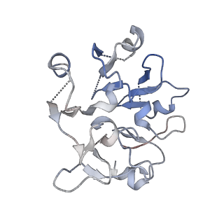 24271_7naf_y_v1-3
State E2 nucleolar 60S ribosomal biogenesis intermediate - Spb1-MTD local model