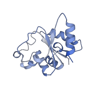24272_7nak_B_v1-2
Cryo-EM structure of activated human SARM1 in complex with NMN and 1AD (TIR:1AD)