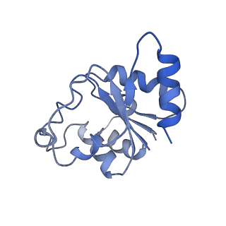 24272_7nak_E_v1-2
Cryo-EM structure of activated human SARM1 in complex with NMN and 1AD (TIR:1AD)