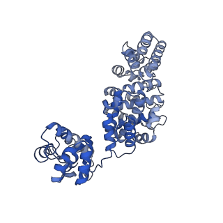 24273_7nal_A_v1-2
Cryo-EM structure of activated human SARM1 in complex with NMN and 1AD (ARM and SAM domains)