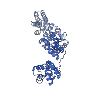 24273_7nal_B_v1-2
Cryo-EM structure of activated human SARM1 in complex with NMN and 1AD (ARM and SAM domains)