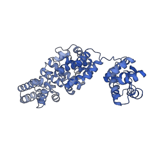 24273_7nal_D_v1-2
Cryo-EM structure of activated human SARM1 in complex with NMN and 1AD (ARM and SAM domains)