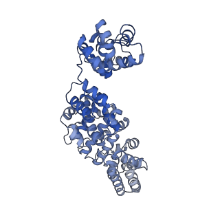 24273_7nal_F_v1-2
Cryo-EM structure of activated human SARM1 in complex with NMN and 1AD (ARM and SAM domains)