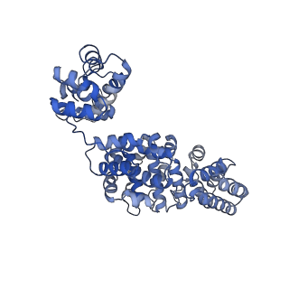 24273_7nal_G_v1-2
Cryo-EM structure of activated human SARM1 in complex with NMN and 1AD (ARM and SAM domains)