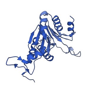 24275_7nan_A_v1-0
Human 20S proteasome core particle